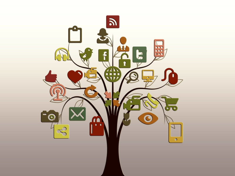 The Bustling Tram Society Social Media Tree